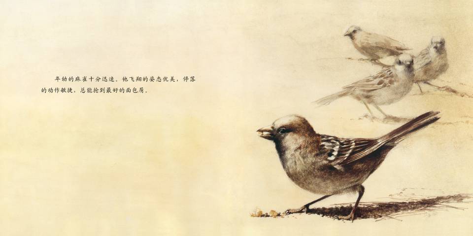 断喙鸟 (05),绘本,绘本故事,绘本阅读,故事书,童书,图画书,课外阅读